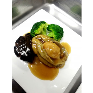 Abalone/Scallop - Image 4